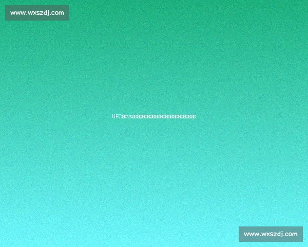 UFC小鹰vs康纳世纪之战全方位解析谁能笑到最后巅峰格斗历史时刻