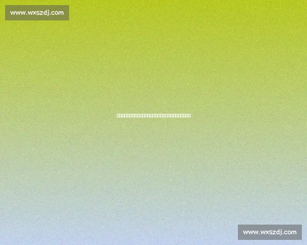 亚冠赛场上海海港对阵悉尼比分揭晓关键进球与比赛走势解析回顾